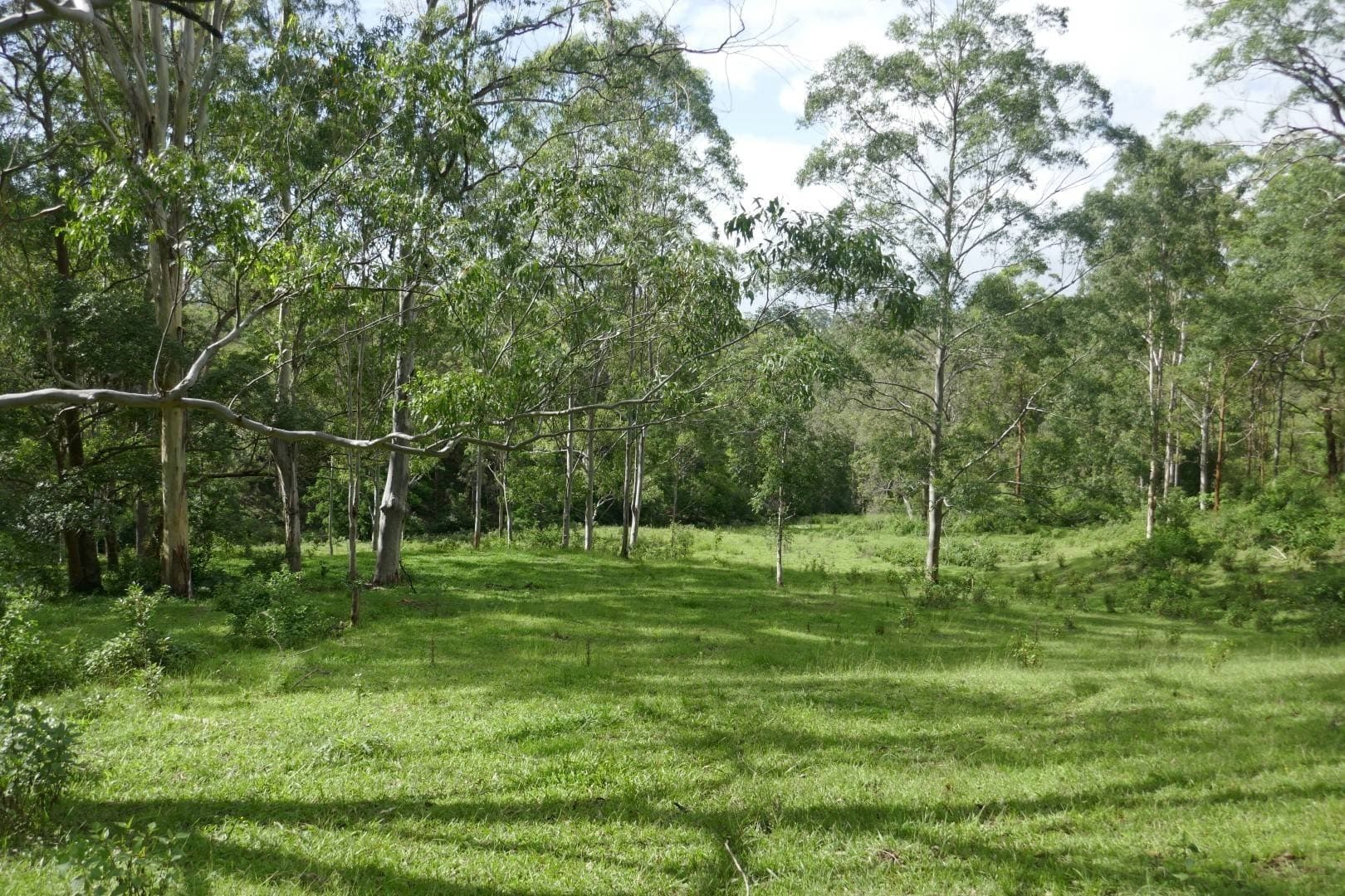 432 Sargents Road, Kyogle - Thumbnail 4