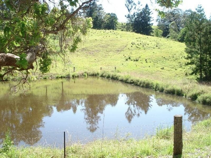 432 Sargents Road, Kyogle - Thumbnail 5