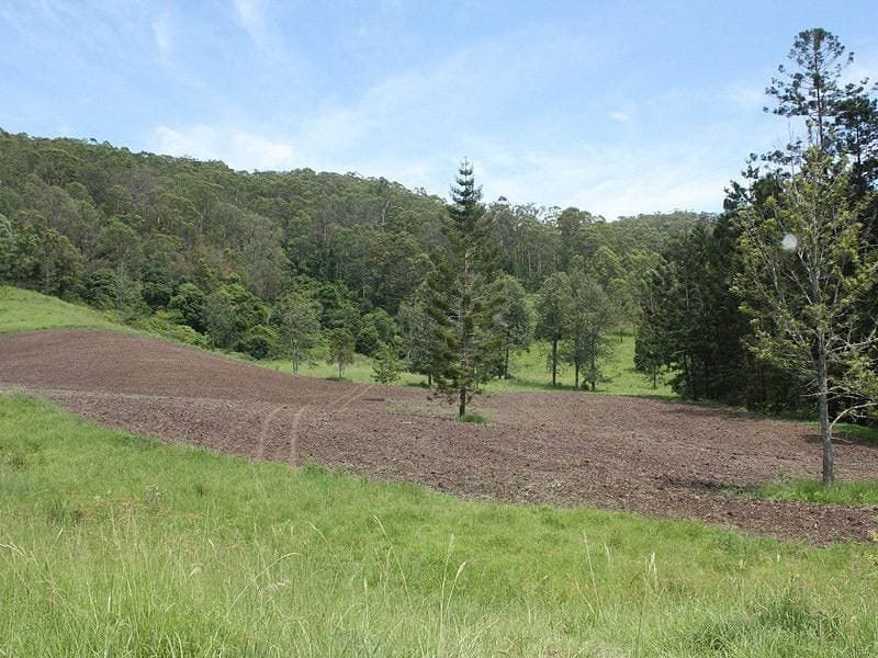 432 Sargents Road, Kyogle - Thumbnail 6