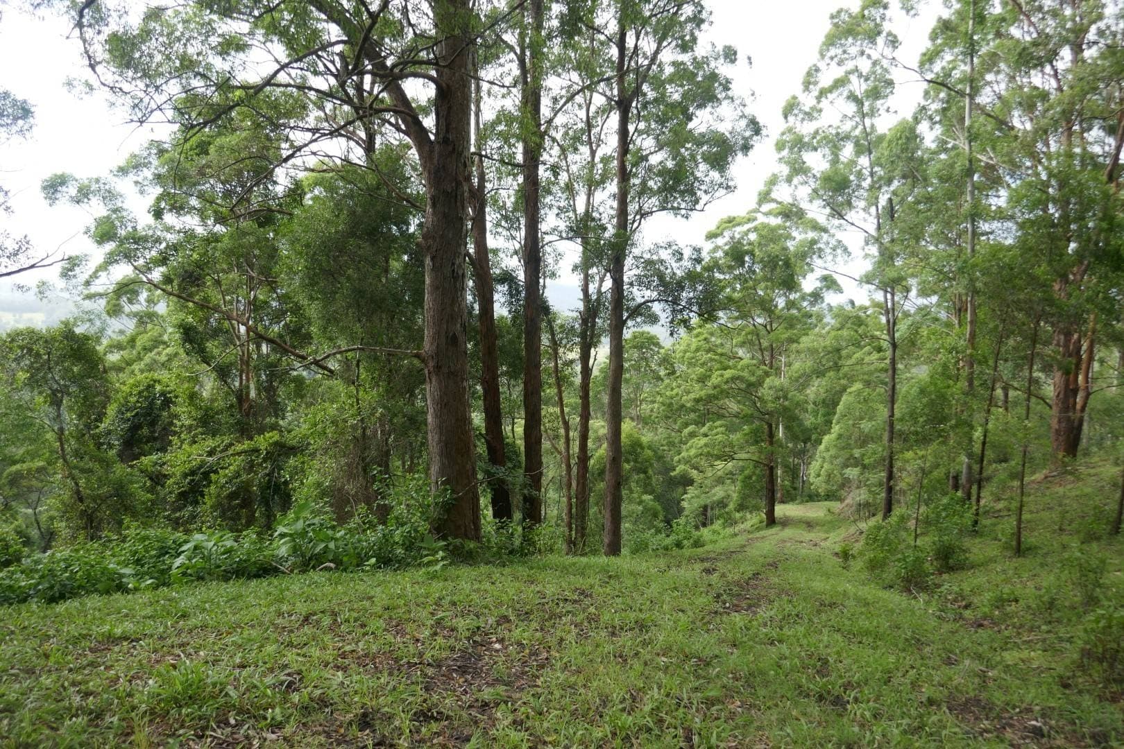 432 Sargents Road, Kyogle - Thumbnail 7