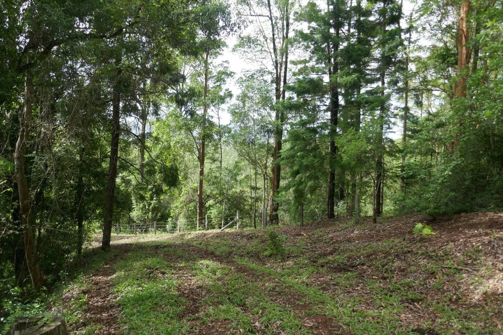 432 Sargents Road, Kyogle - Thumbnail 8