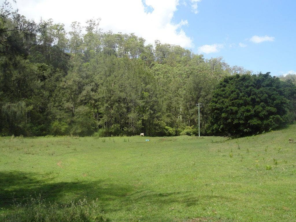 664 Horseshoe Creek Road, Kyogle - Thumbnail 6