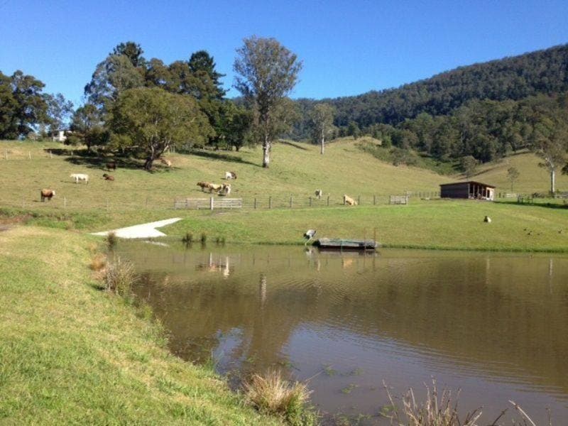 1373 COLLINS CREEK ROAD St, Kyogle - Thumbnail 2