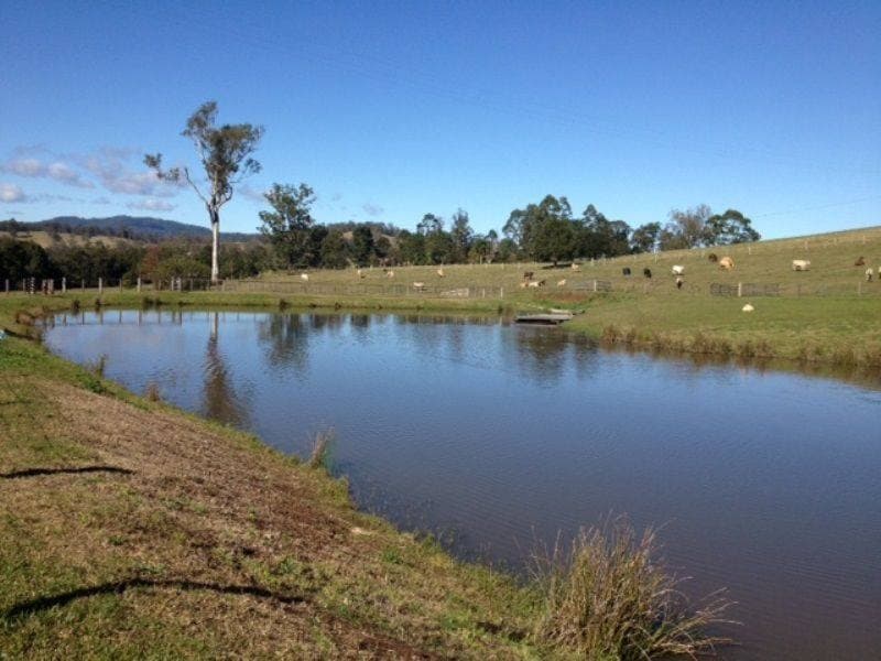 1373 COLLINS CREEK ROAD St, Kyogle - Thumbnail 4