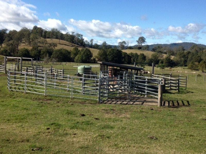 1373 COLLINS CREEK ROAD St, Kyogle - Thumbnail 5