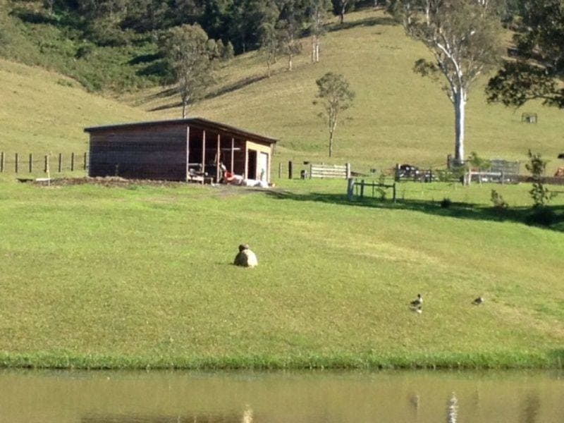 1373 COLLINS CREEK ROAD St, Kyogle - Thumbnail 6