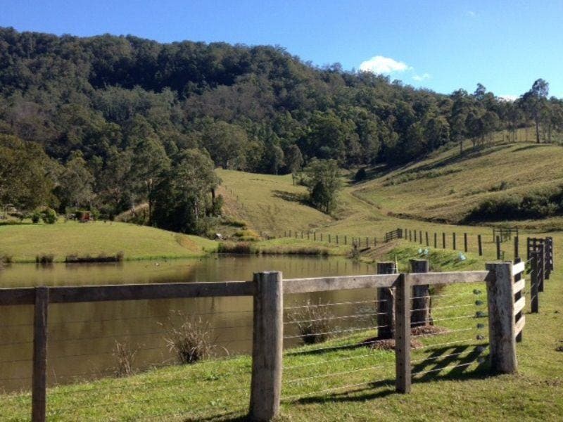1373 COLLINS CREEK ROAD St, Kyogle - Thumbnail 7
