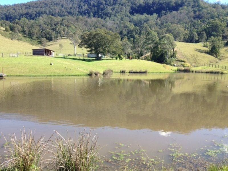 1373 COLLINS CREEK ROAD St, Kyogle - Thumbnail 8