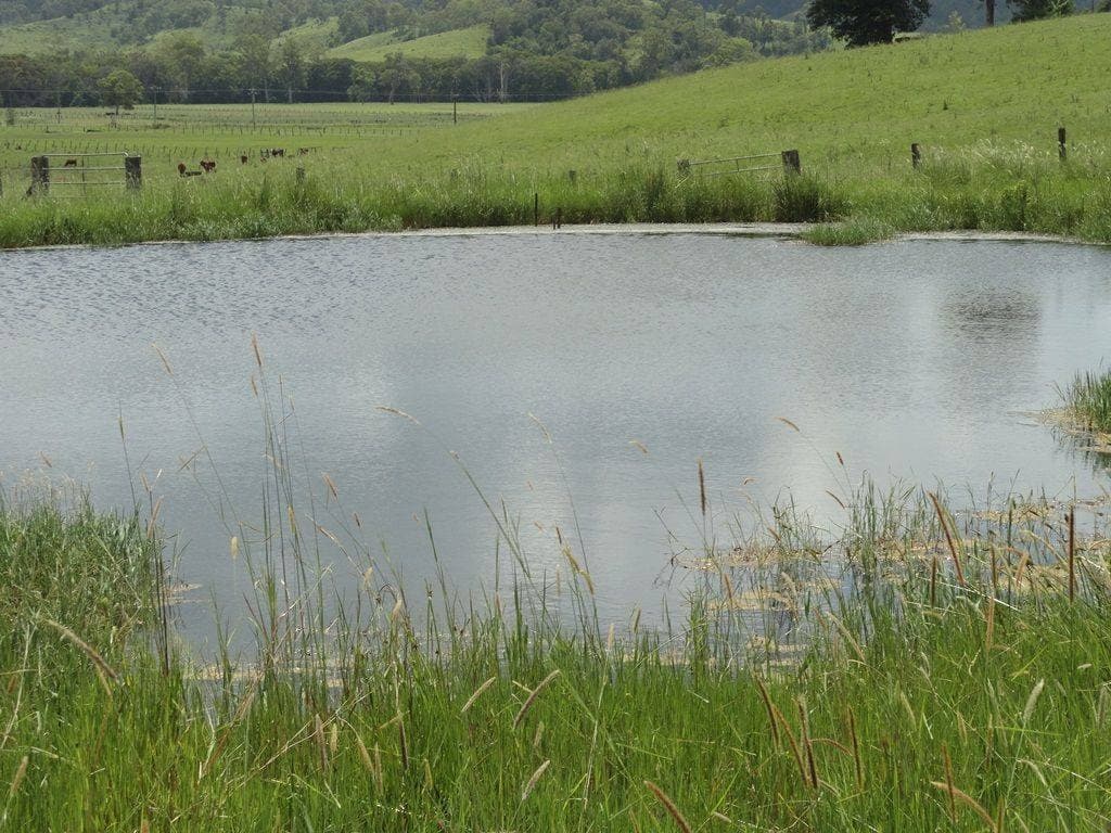 292 Fawcetts Plain Road, Kyogle - Image 1