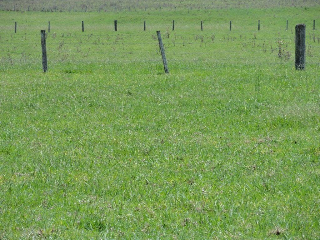 292 Fawcetts Plain Road, Kyogle - Thumbnail 5