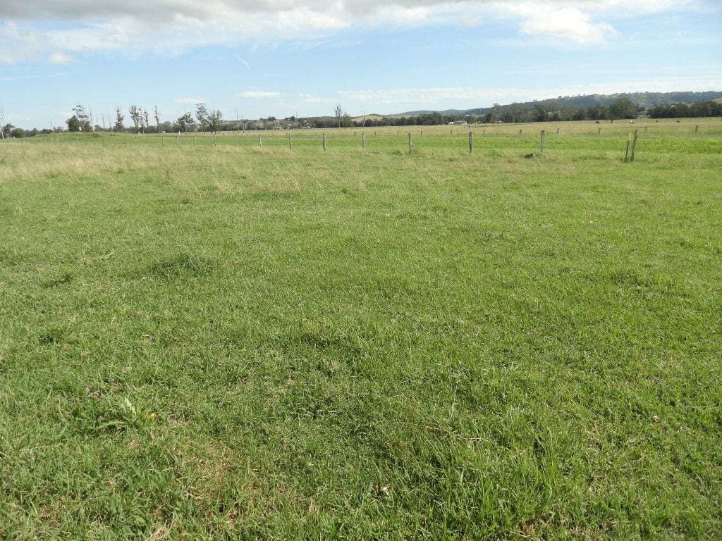 292 Fawcetts Plain Road, Kyogle - Thumbnail 6
