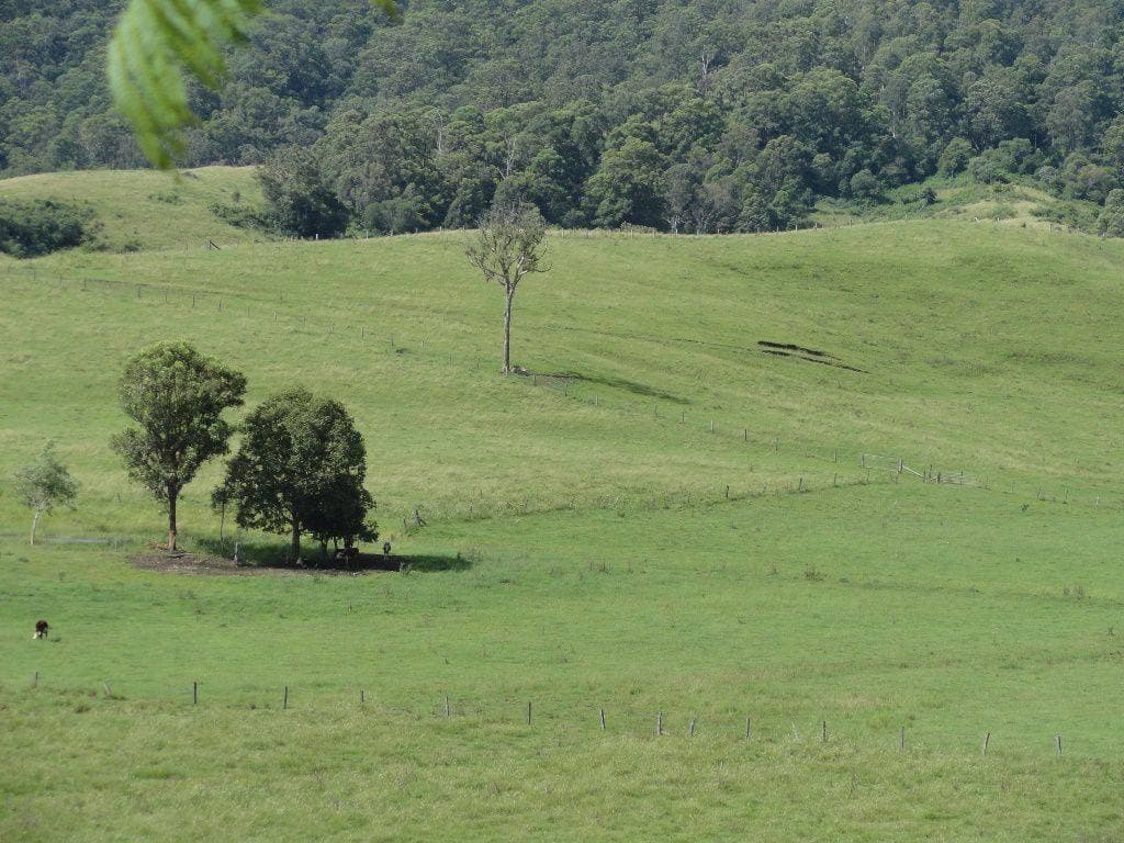 292 Fawcetts Plain Road, Kyogle - Thumbnail 7