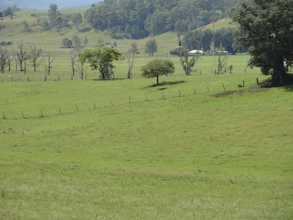 292 Fawcetts Plain Road, Kyogle - Thumbnail 8