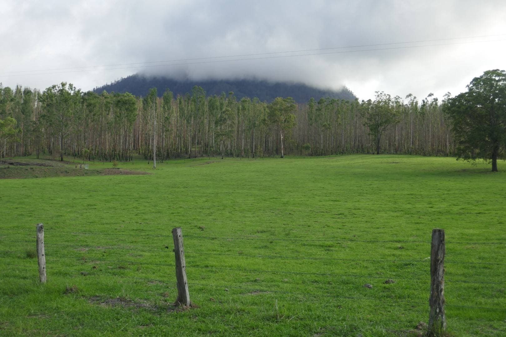 100 Hilderbrand Road, Kyogle - Image 1