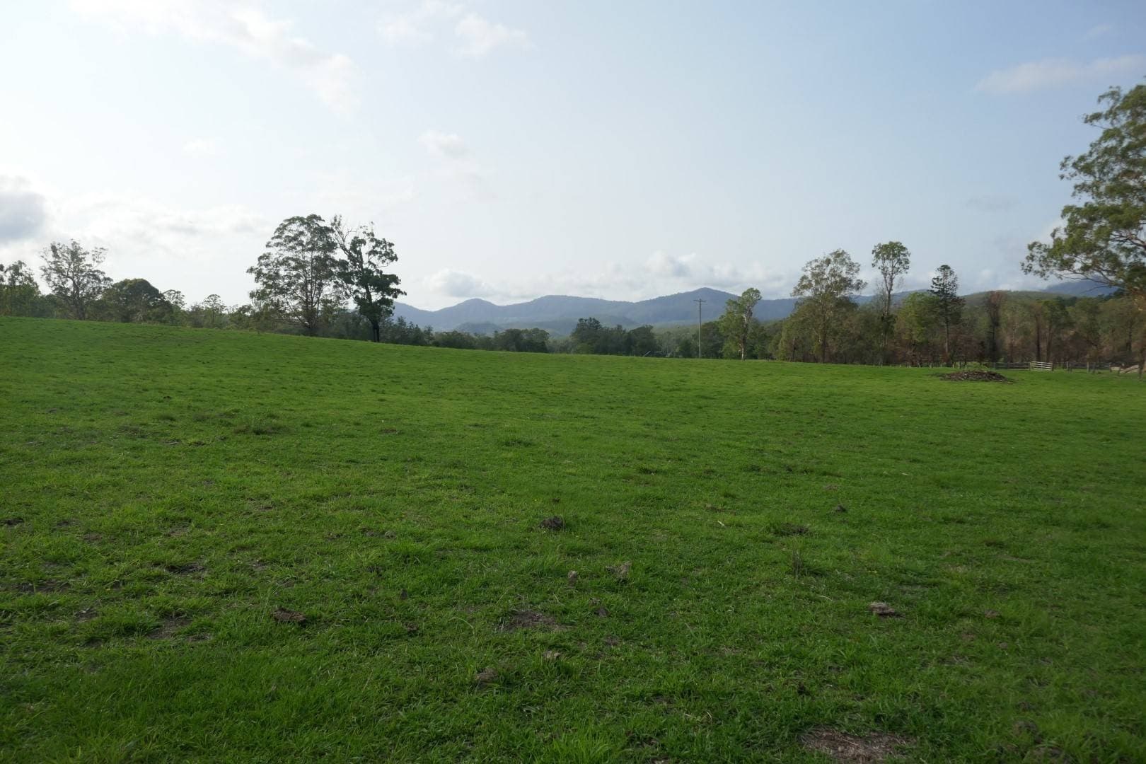 100 Hilderbrand Road, Kyogle - Thumbnail 4