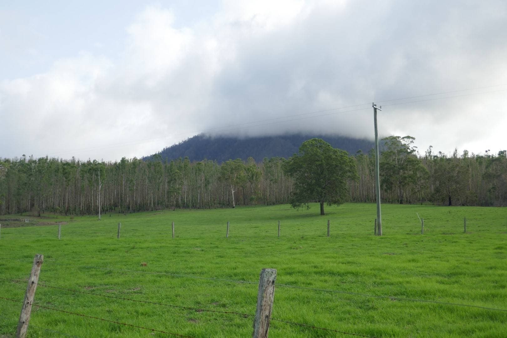 100 Hilderbrand Road, Kyogle - Thumbnail 5