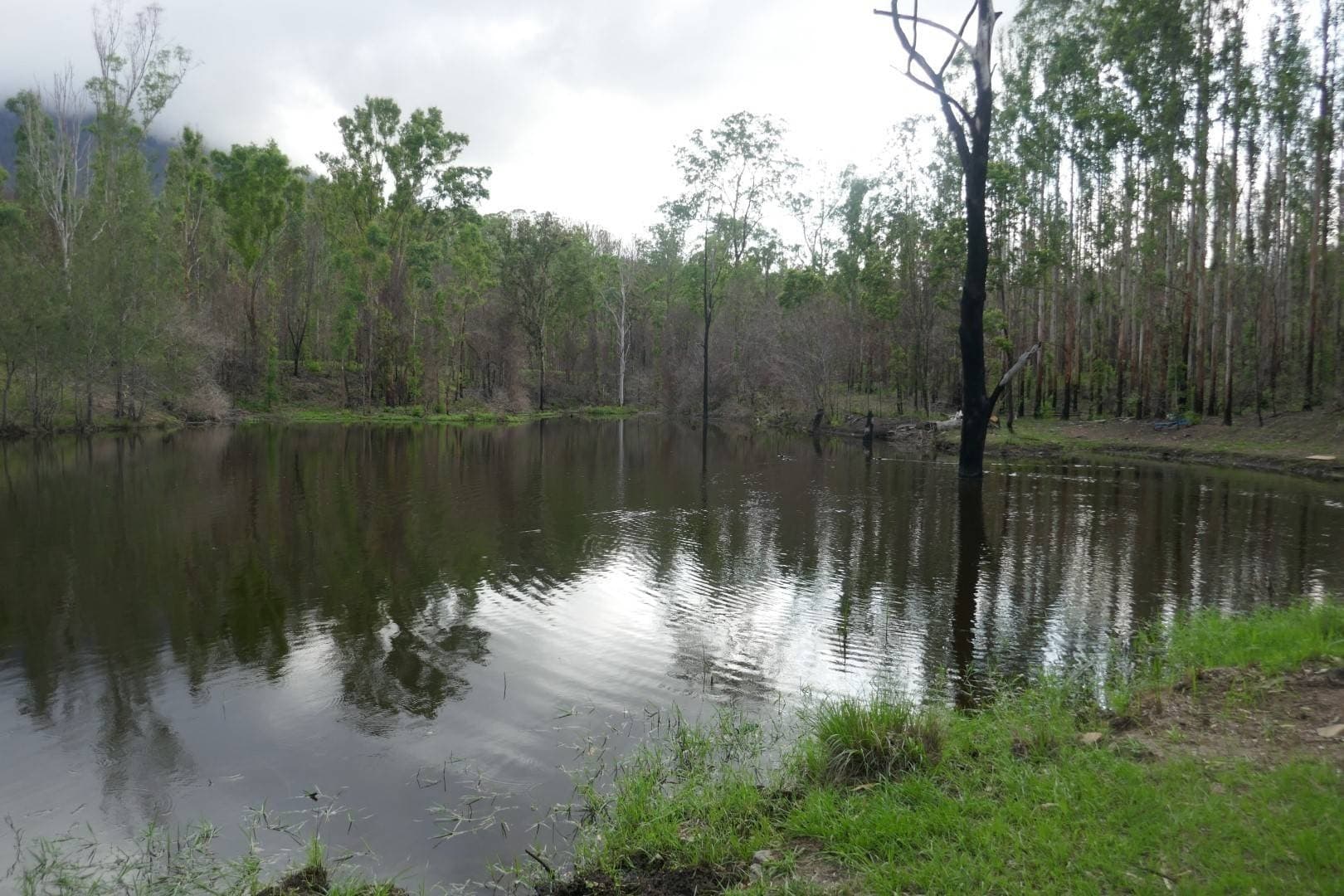 100 Hilderbrand Road, Kyogle - Thumbnail 6