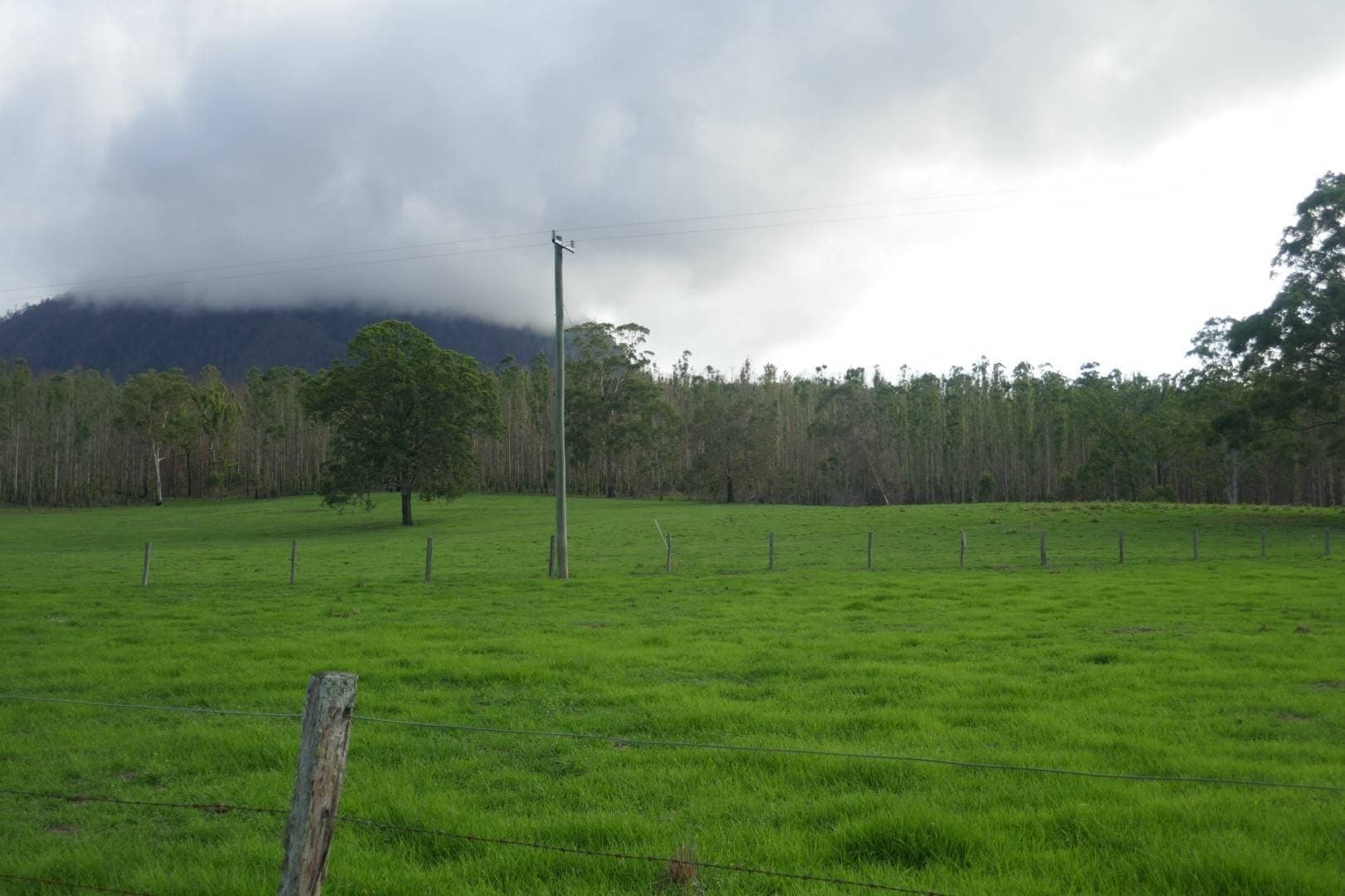 100 Hilderbrand Road, Kyogle - Thumbnail 7