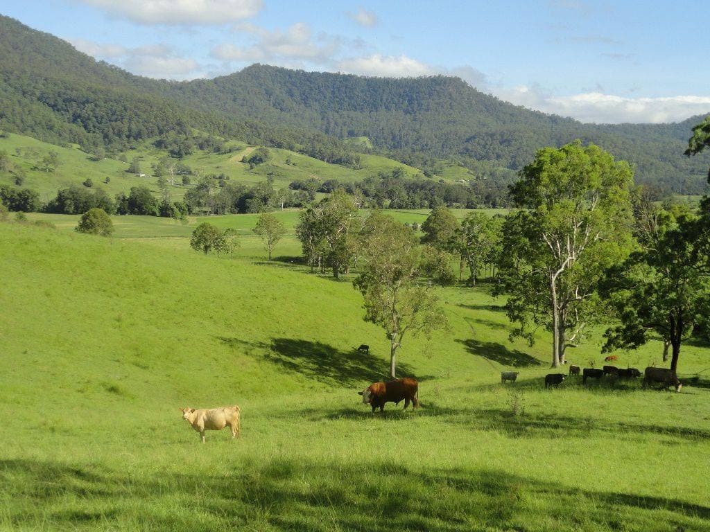 2 Rices Road, Kyogle - Thumbnail 2