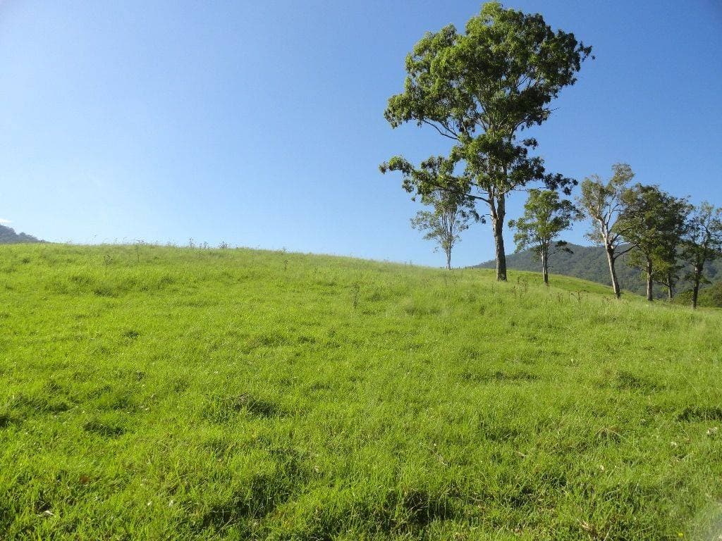 2 Rices Road, Kyogle - Thumbnail 3