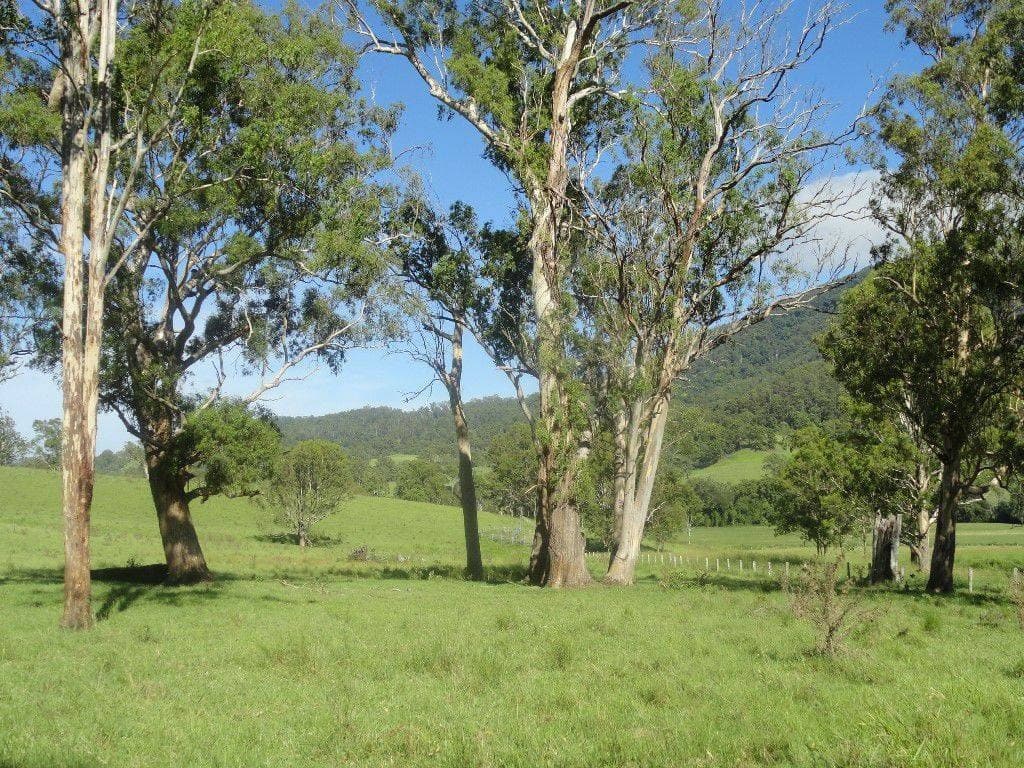 2 Rices Road, Kyogle - Thumbnail 5
