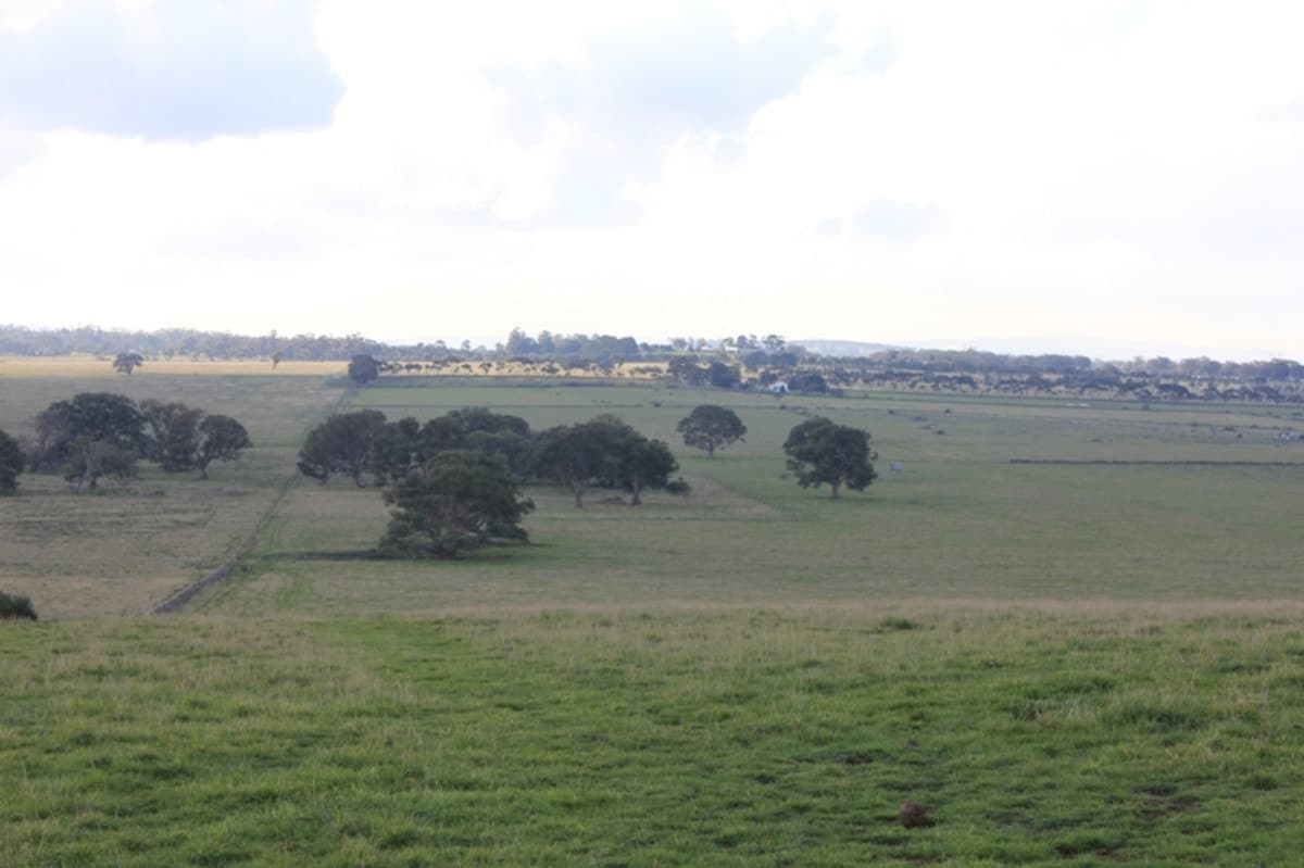 1725 MICKLEHAM Road, YUROKE VIC 3063, Yuroke - Thumbnail 5
