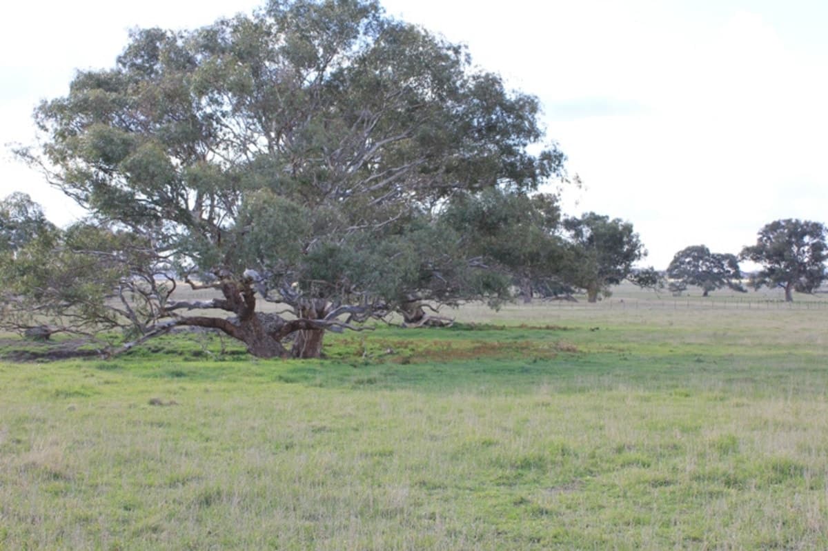 1725 MICKLEHAM Road, YUROKE VIC 3063, Yuroke - Thumbnail 6
