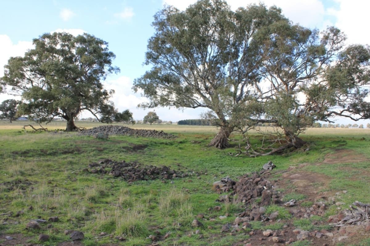 1725 MICKLEHAM Road, YUROKE VIC 3063, Yuroke - Thumbnail 7