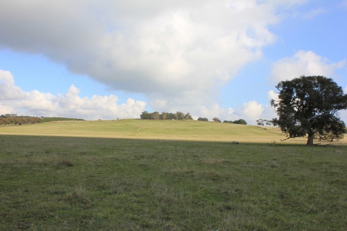 1725 MICKLEHAM Road, YUROKE VIC 3063, Yuroke - Thumbnail 8