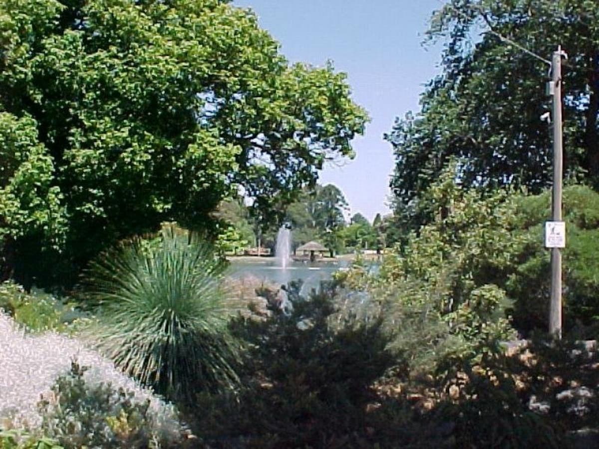 68 Tennyson Street, MOONEE PONDS VIC 3039, Moonee Ponds - Thumbnail 3