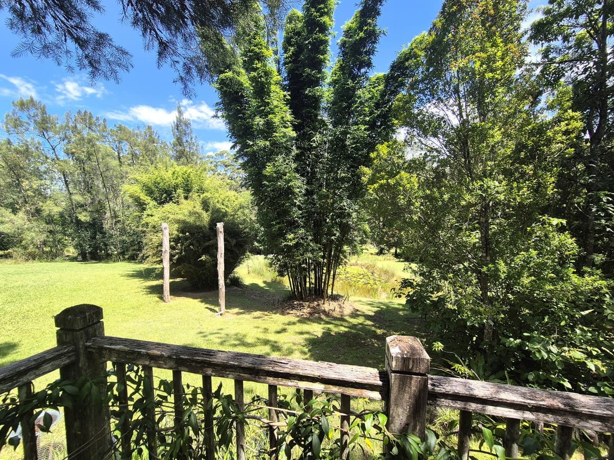 185 Sullivans Road, Lorne, Lorne - Thumbnail 5