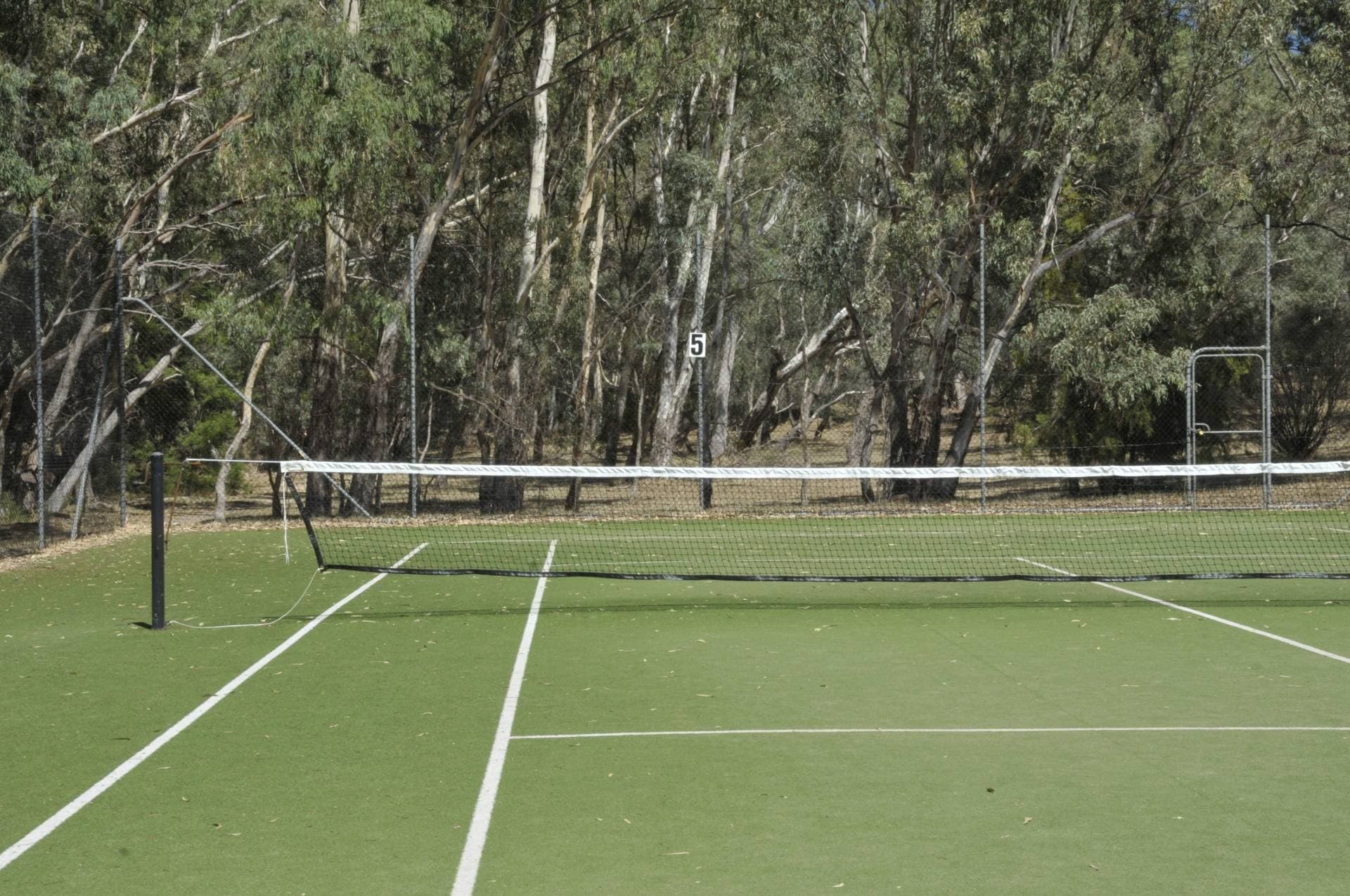 11 Bettalan Ct, Spring Gully, VIC, Spring Gully - Thumbnail 4