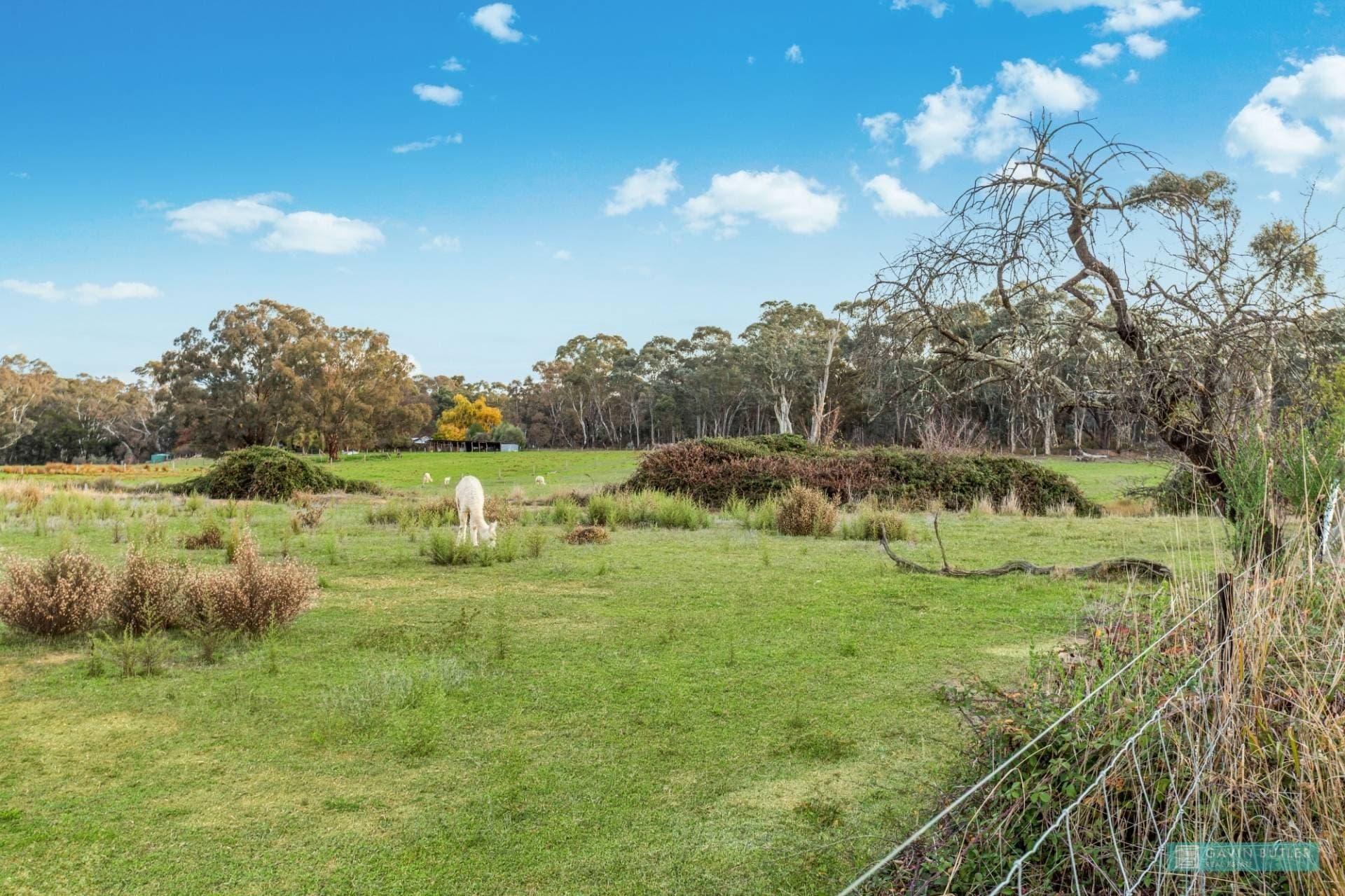 159 Ryalls Lane, Strathfieldsaye, VIC, Strathfieldsaye - Thumbnail 6