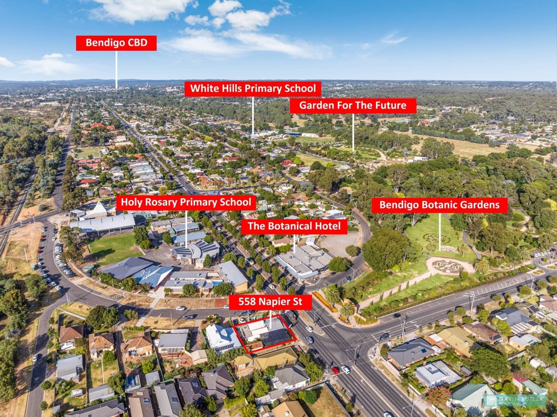 558 Napier St, White Hills, VIC, White Hills - Thumbnail 2