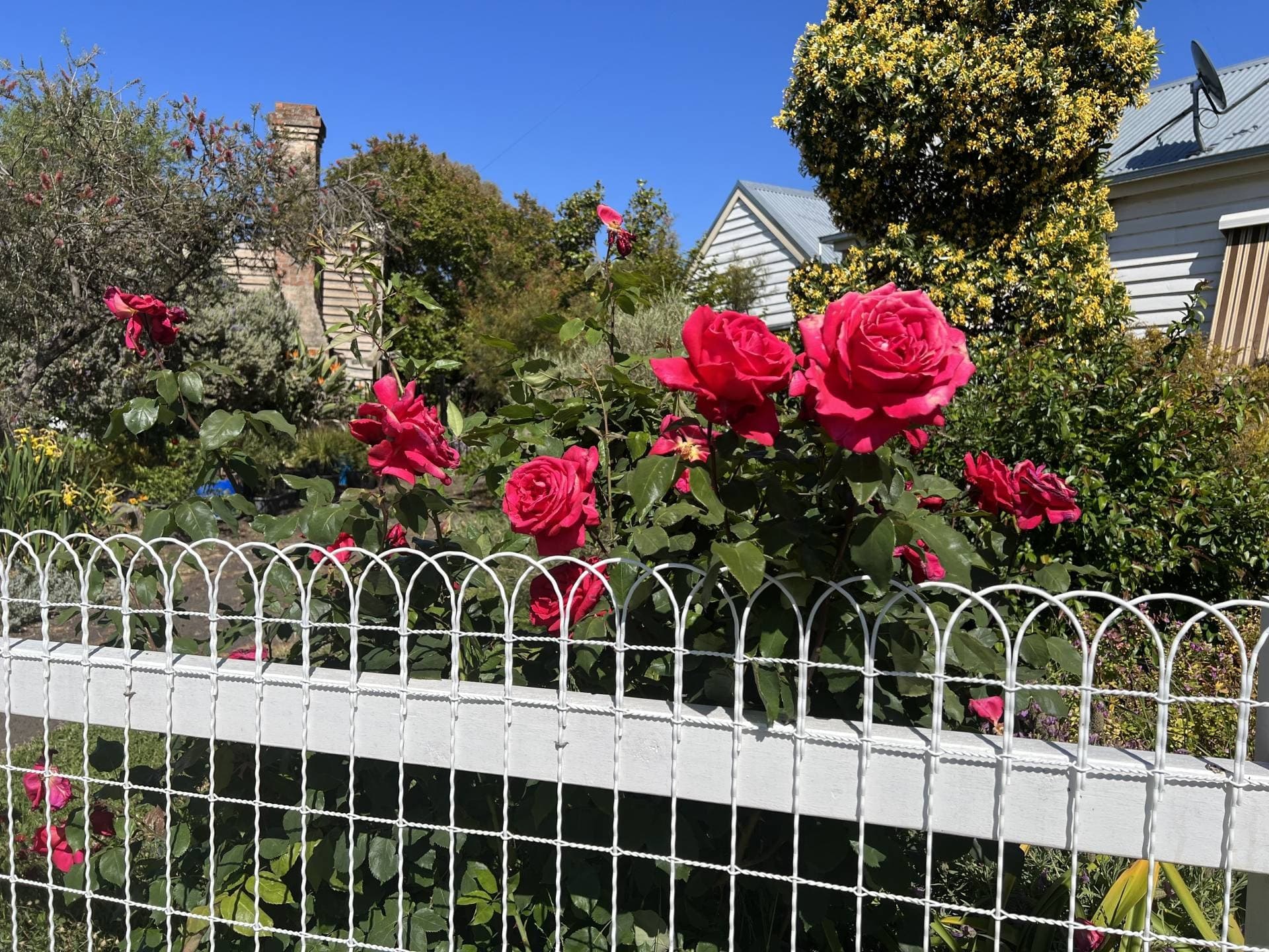 12 Market St, Eaglehawk, VIC, Eaglehawk - Thumbnail 2