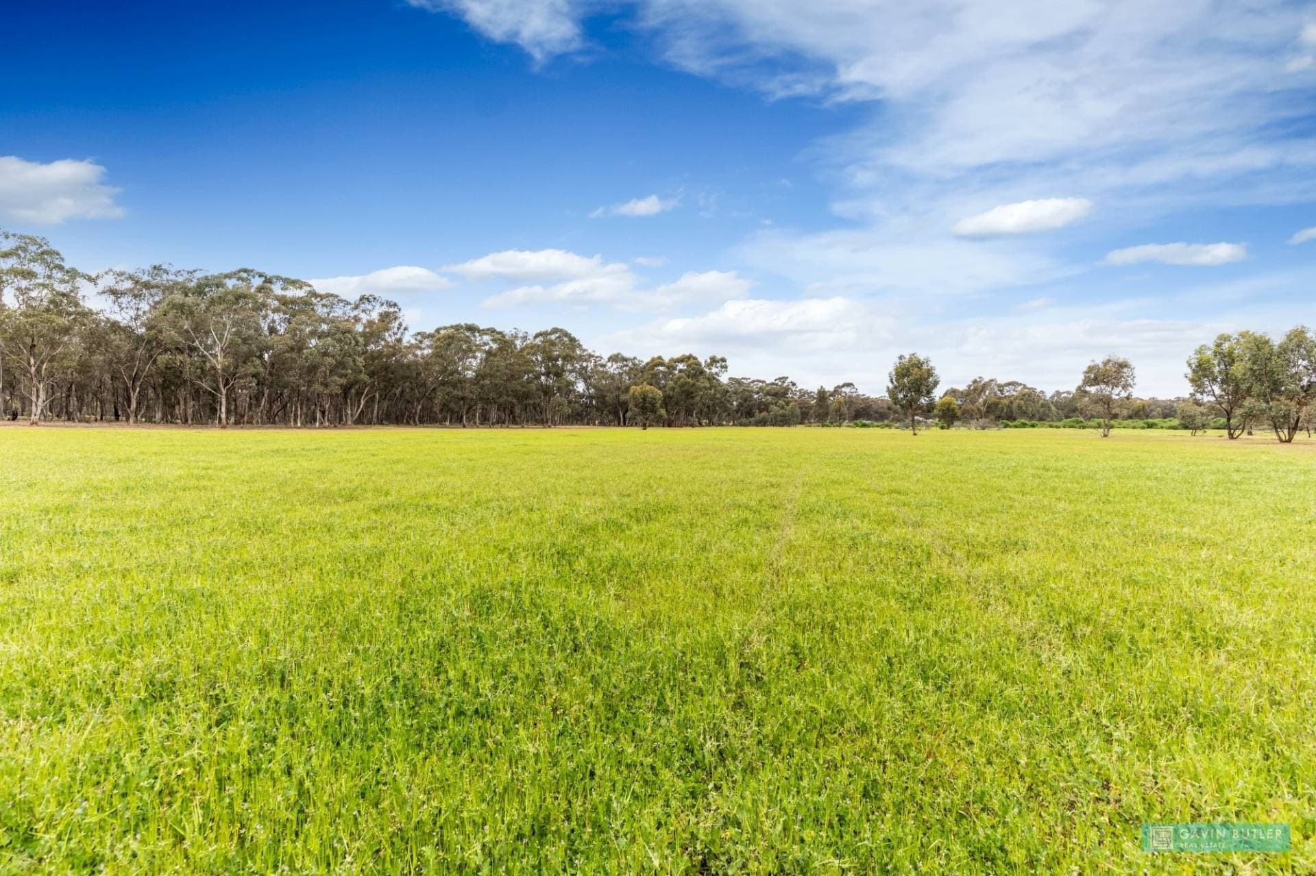 310 Scotts Road, Neilborough, VIC, Neilborough - Thumbnail 6