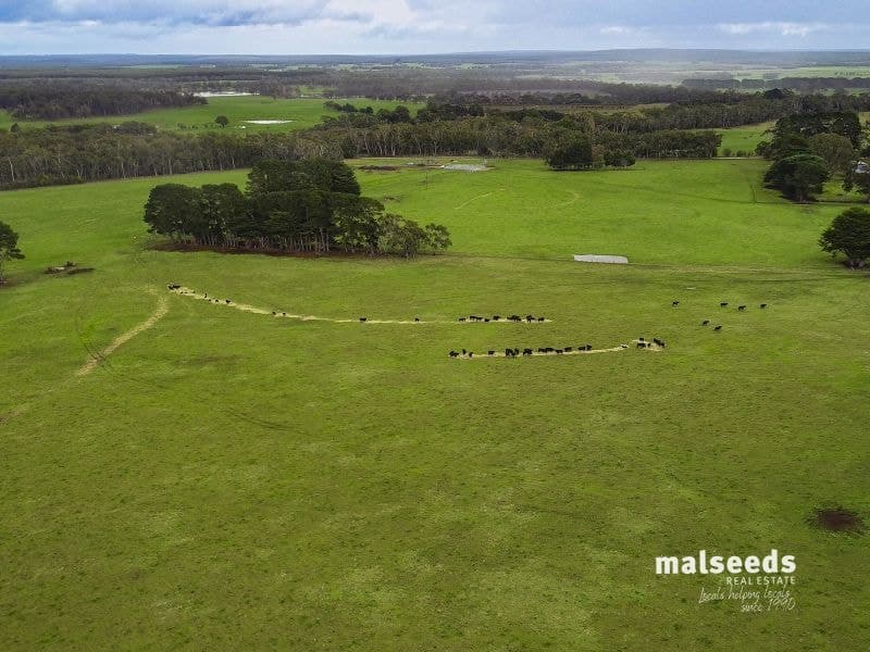 3306 Princes Highway Drumborg VIC, Drumborg - Thumbnail 6