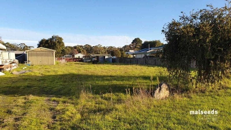 7 Arthur Street Tarpeena SA, Tarpeena - Image 1