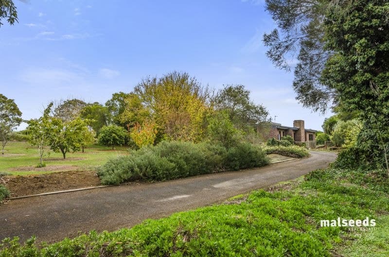 10 Vivienne Avenue Mount Gambier SA, Mount Gambier - Thumbnail 2
