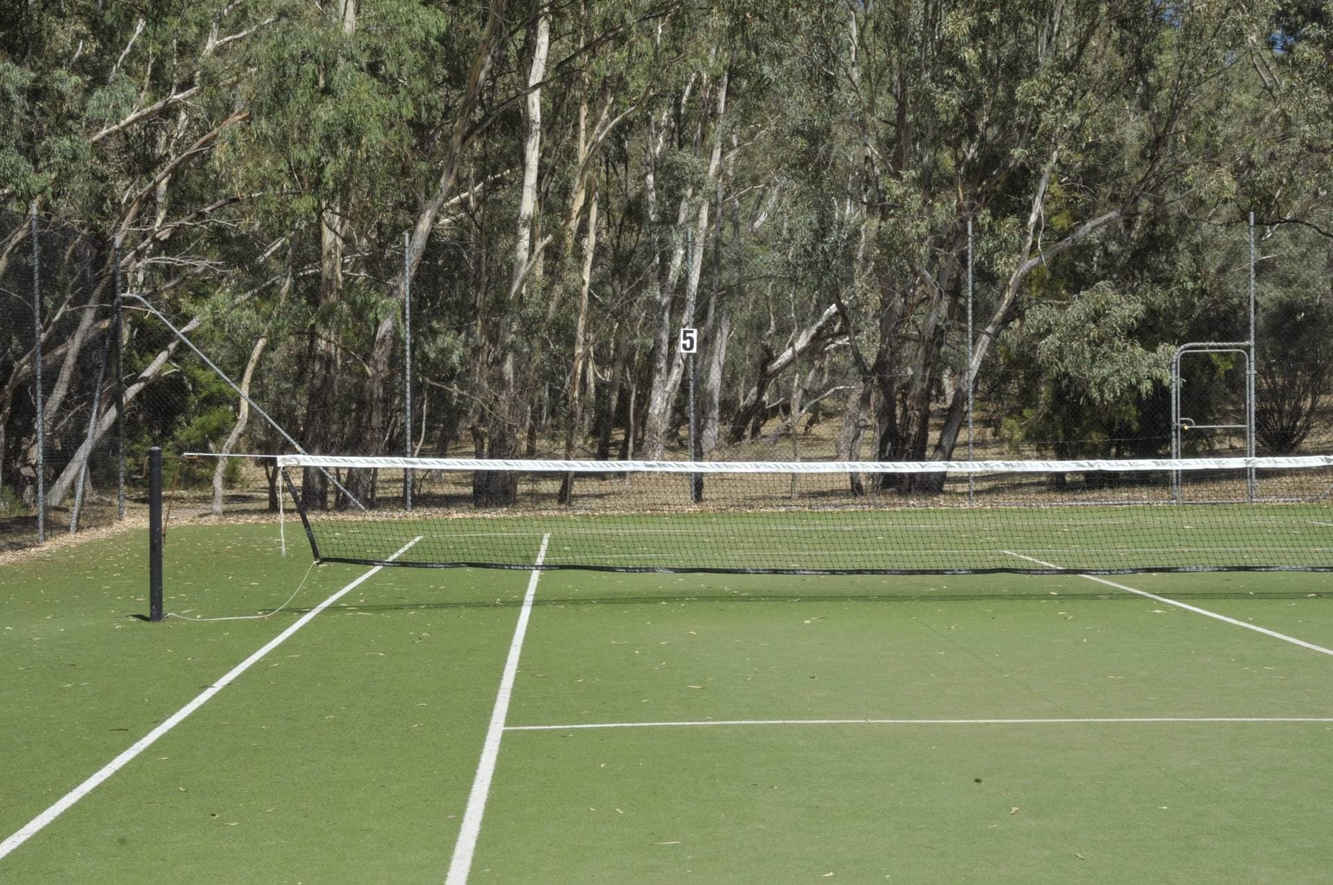 3 Pendlebury Court, Spring Gully, VIC, Spring Gully - Thumbnail 8