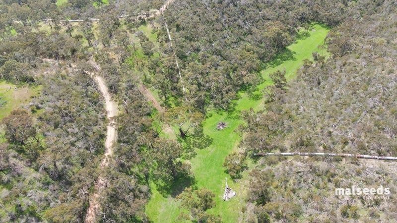 121 Coppermine Road Williamstown SA, Williamstown - Thumbnail 8