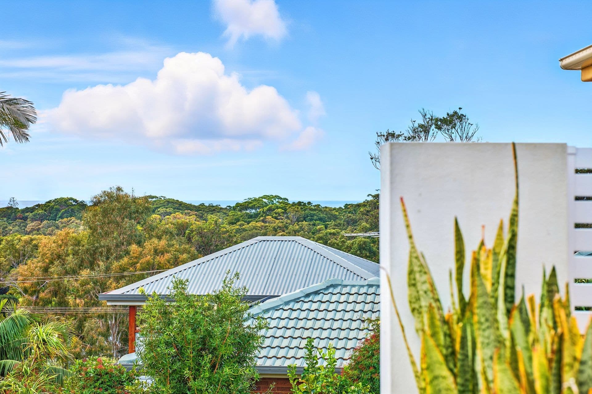 36 Mimosa Drive Port Macquarie NSW, Port Macquarie - Image 1