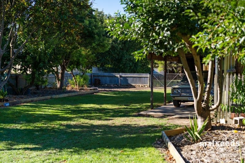 3 Arthur Street Penola SA, Penola - Image 1