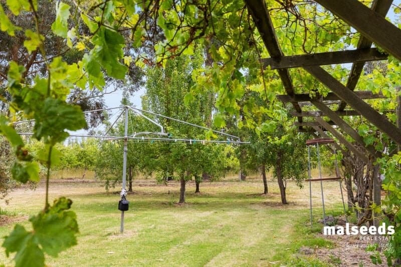 697 Old Kalangadoo-Penola Road Moerlong SA, Moerlong - Thumbnail 2