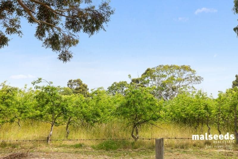 697 Old Kalangadoo-Penola Road Moerlong SA, Moerlong - Thumbnail 3