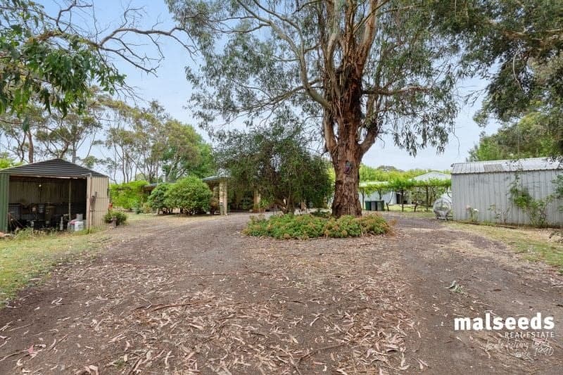 697 Old Kalangadoo-Penola Road Moerlong SA, Moerlong - Thumbnail 6