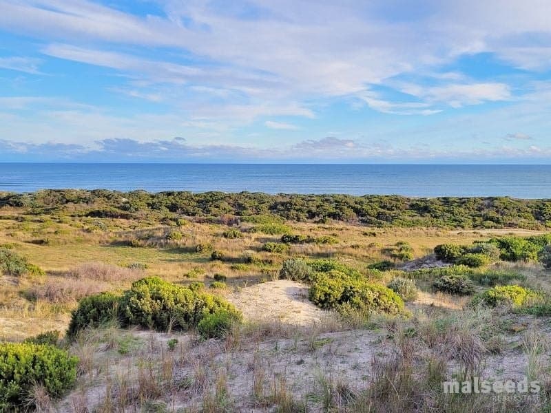 137 Paradise Road Wye SA, Wye - Thumbnail 4