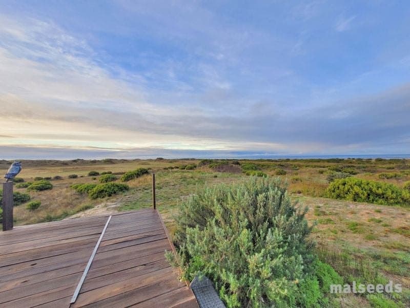 137 Paradise Road Wye SA, Wye - Thumbnail 5
