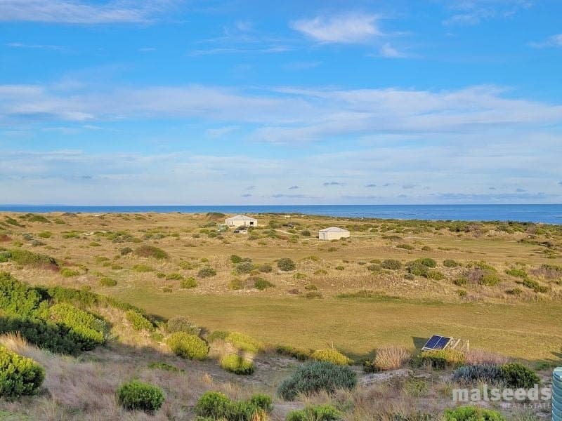 137 Paradise Road Wye SA, Wye - Thumbnail 6