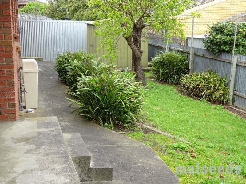 1 & 2/13 Myall Street Mount Gambier SA, Mount Gambier - Image 1